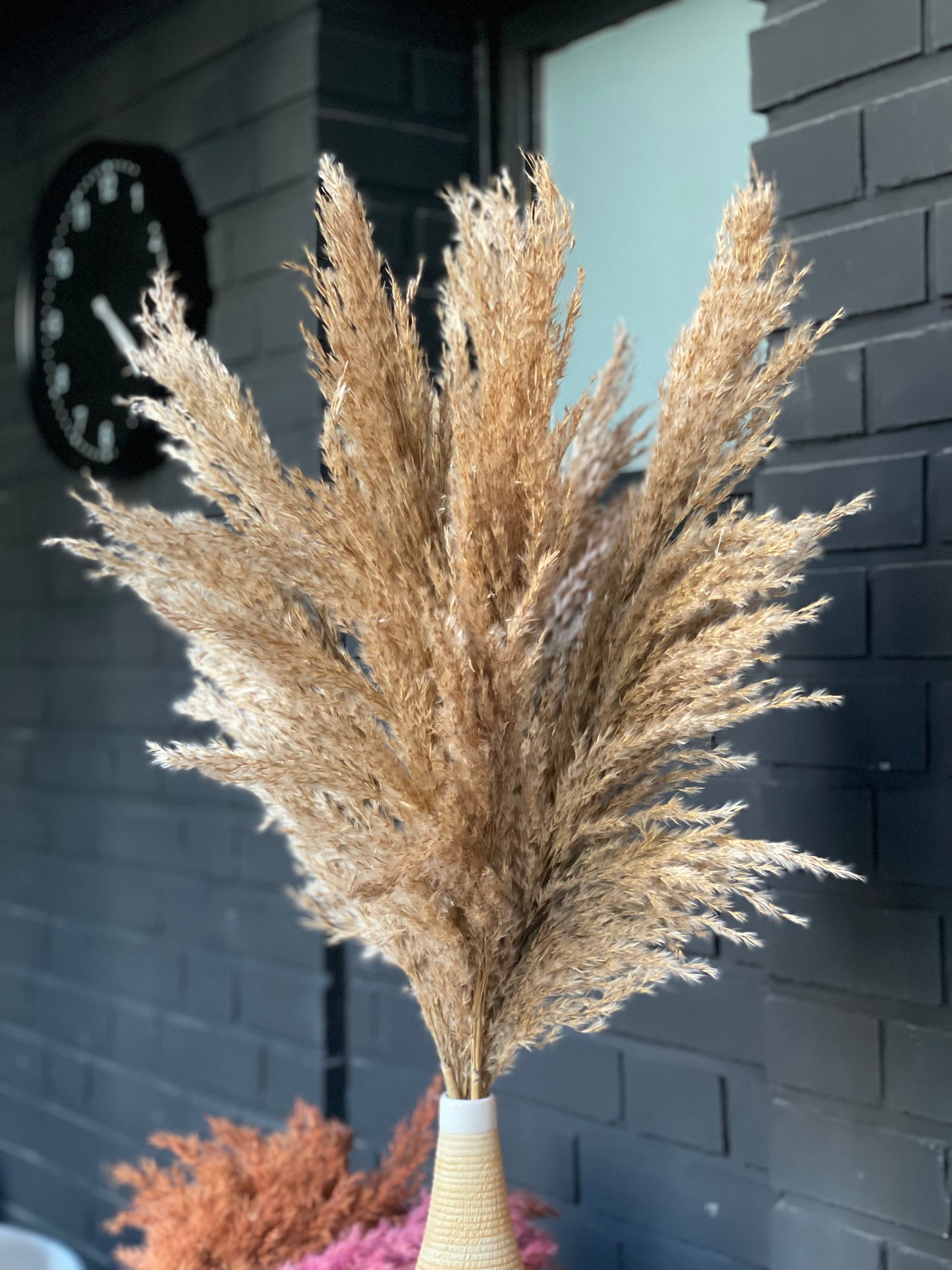 Dried pampas natural color 75 cm
