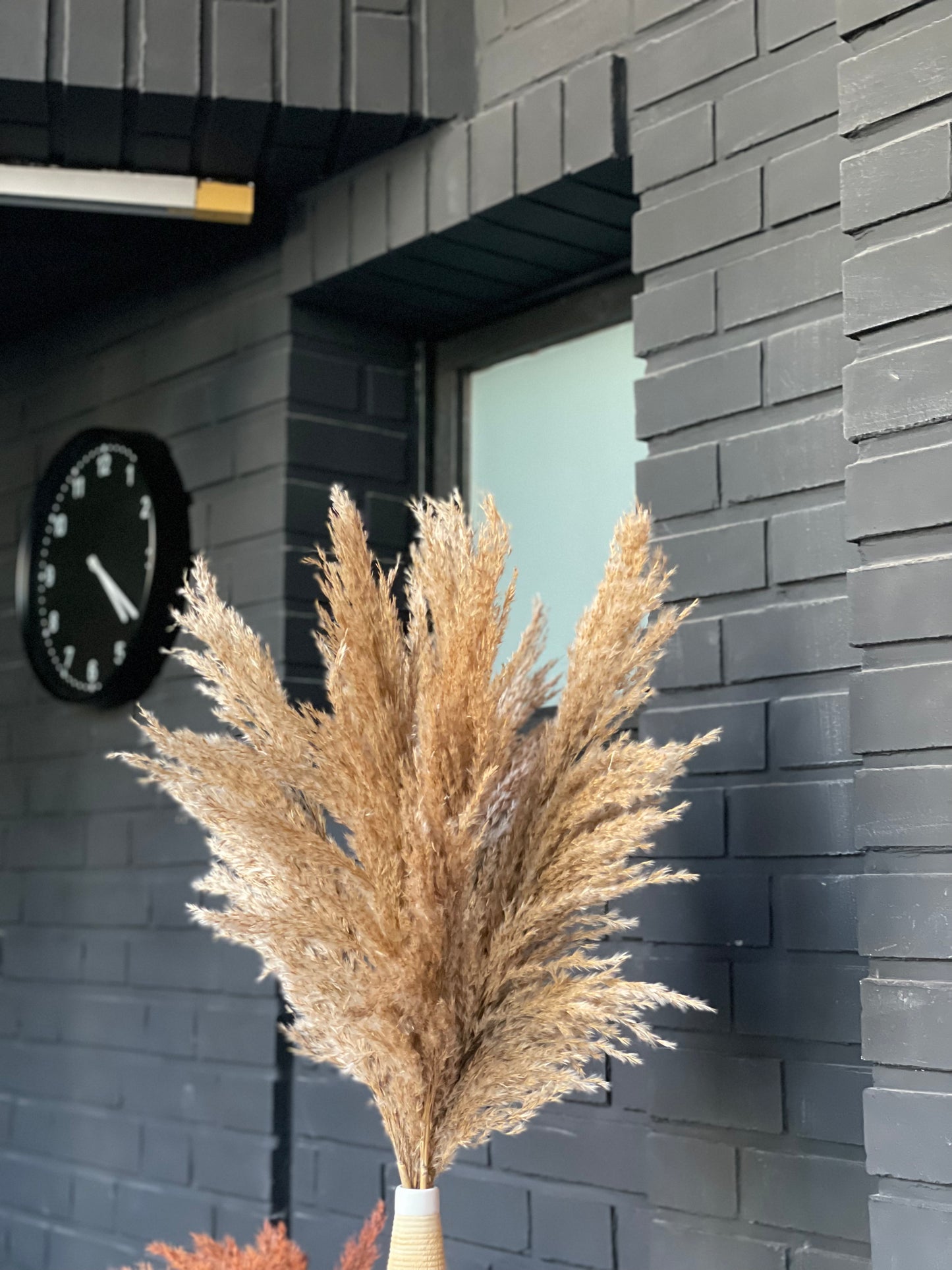 Dried pampas natural color 75 cm