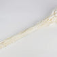 White Dried Lagurus