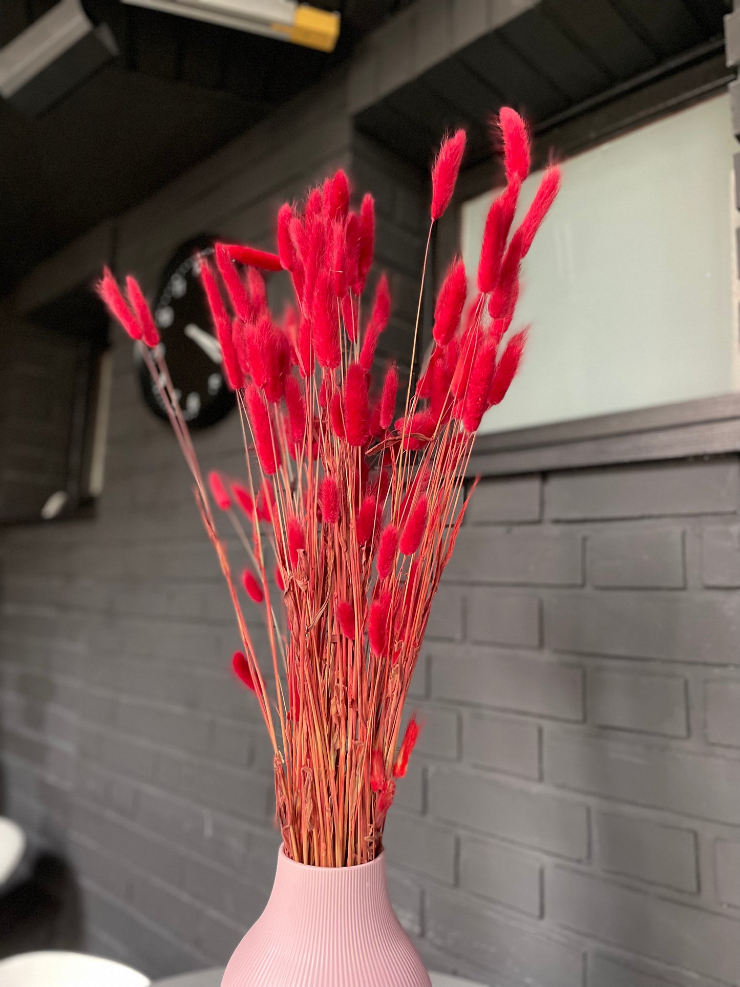 Dried Lagurus Berry