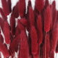 Dried Lagurus Berry