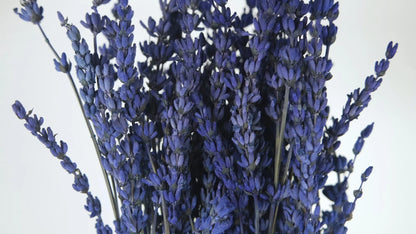 Stabilized blue lavender