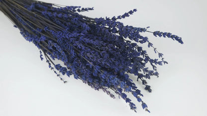 Stabilized blue lavender