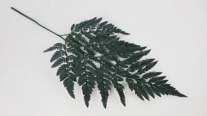 Green stabilized leather fern - bundle of 6 stems