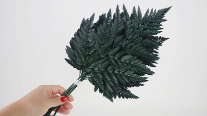 Green stabilized leather fern - bundle of 6 stems