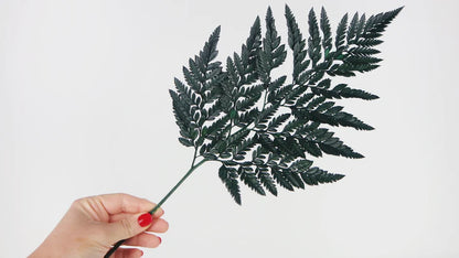 Green stabilized leather fern - bundle of 6 stems