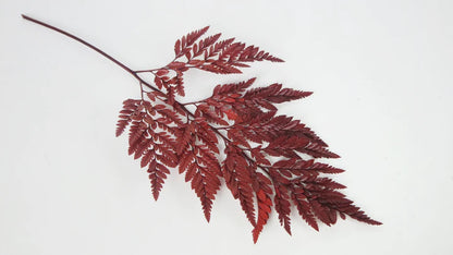 Red stabilized leather fern - bundle of 6 stems