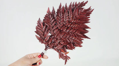 Red stabilized leather fern - bundle of 6 stems