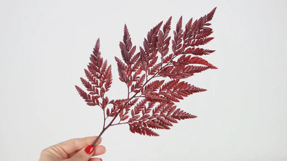 Red stabilized leather fern - bundle of 6 stems