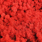 Lichen stabilisé Rouge 2,5 Kg PRO