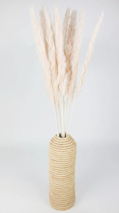 Mini Dried Pampas Lychee