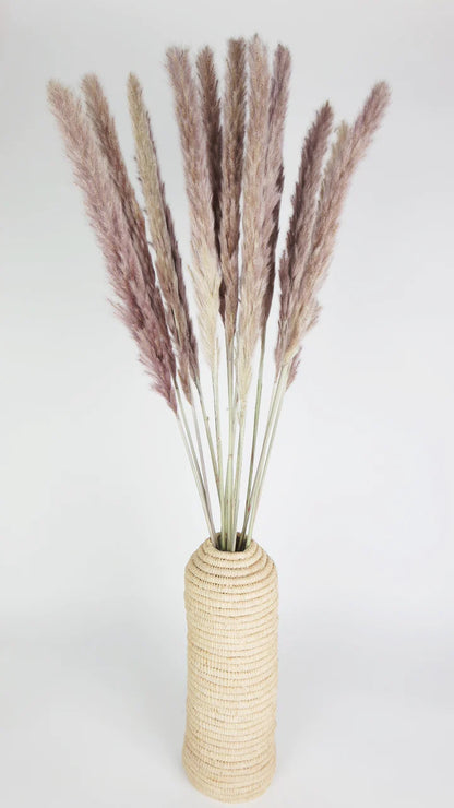 Natural Dried Mini Pampas
