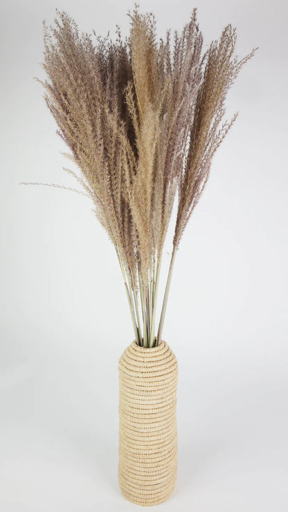 Miscanthus dried natural color 70 cm