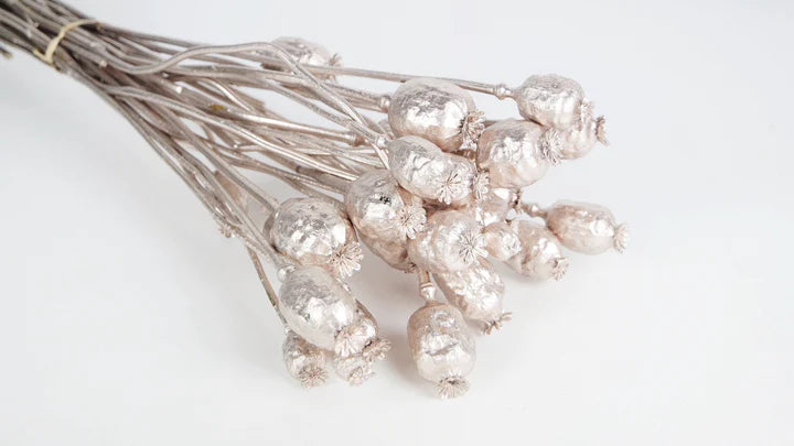 Dried poppies in rose gold bunch