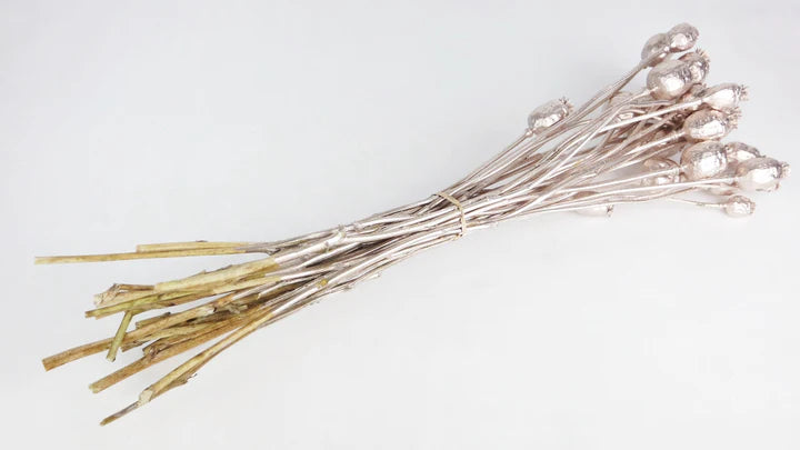 Dried poppies in rose gold bunch