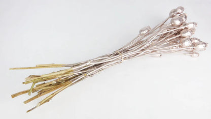 Dried poppies in rose gold bunch