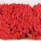 Lichen stabilisé Rouge 2,5 Kg PRO