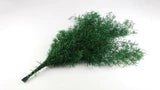Stabilized leather fern - 10 stems - Grass green