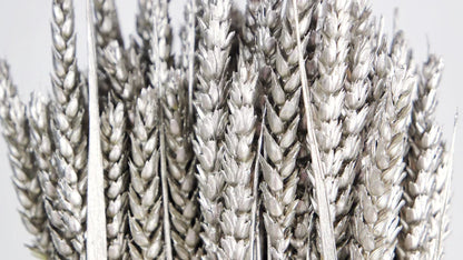 Ash Gold Dried Wheat