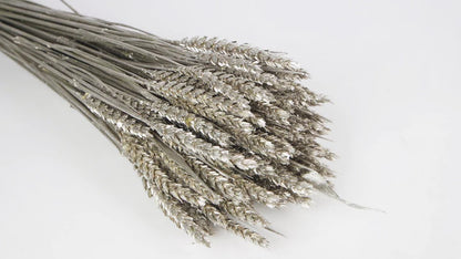 Ash Gold Dried Wheat