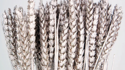 Rose Gold Dried Wheat