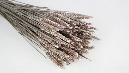 Rose Gold Dried Wheat